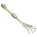 Skeleton Arm