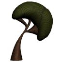 Mushroom Tree