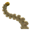 Tentacle Arm