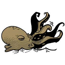 Octopus