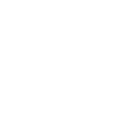 Toggle Arm