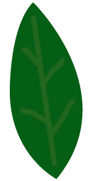 Leaf 8