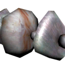 Seashell Necklace