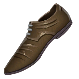 Shoe