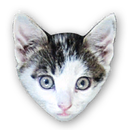 "Kitten" sticker.