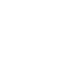 Neon Sign - Neckerchief