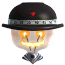 Newton Costume
