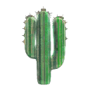 Large Cactus