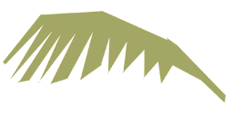 Palm Tree Leaf 4