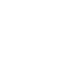 White gradient fade