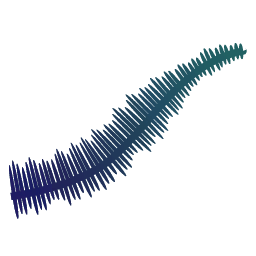 Blue Fern