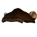 Ape Head