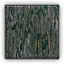 Weathered Green Wood
