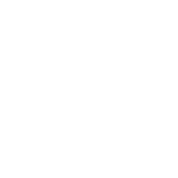Branch Silhouette