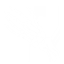 Boney Hand