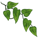 File:Sticker DLC Jungle Foliage Twisty Vine.png