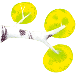 File:Sticker DLC Seasonal Autumn Foliage Birch Branch.png
