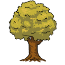 Olive Tree