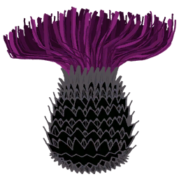 Thistle