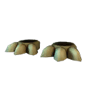 Dinosaur Skeleton Feet