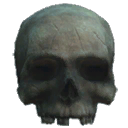 Old Skull