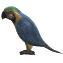 Toy Parrot