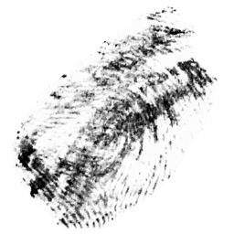 Fingerprint - Black 1