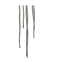 Hanging Vines