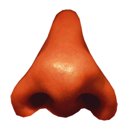 Sniffer
