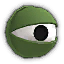 Turtle Eye
