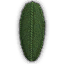 Zen Leaf 2