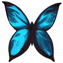 Blue Butterfly