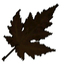 File:Sticker Unthemed Leaf 3.png