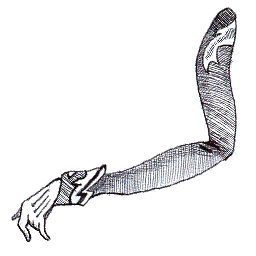 Victorian Lady's Arm