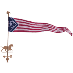 File:Sticker DLC BioShock Infinite Architecture Directional Flag.png