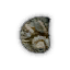 Snail Shell