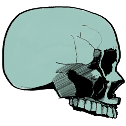 File:Sticker Victoria Lab Face Bone Skull.png