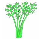 File:Sticker Matthews Carrot Stalk 2.png