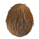 Coconut