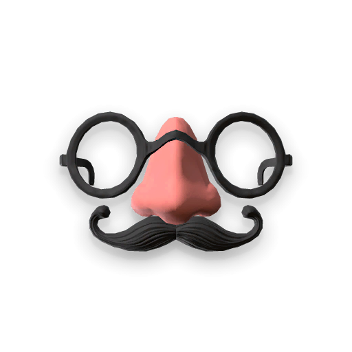 Disguise Glasses