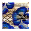 Primitive icon.