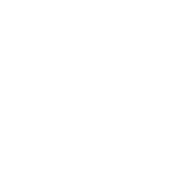 Squirrel Silhouette