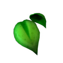 Sunflower Body Leaves