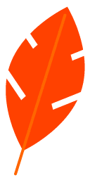 File:Sticker Jacobs Well Simple Feather Orange.png