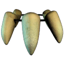 Cave Girl Tooth Necklace