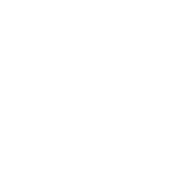 White Radial