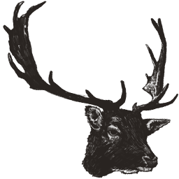 Stag Head with Antlers