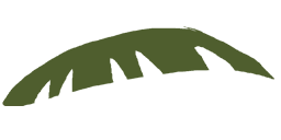File:Sticker Zen Foliage Palm Tree Leaf 8.png