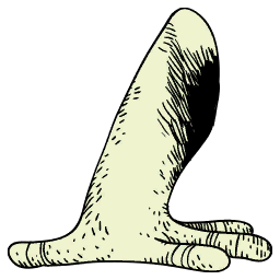 Frog Right Leg