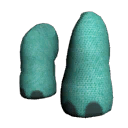 Elephant Front Legs